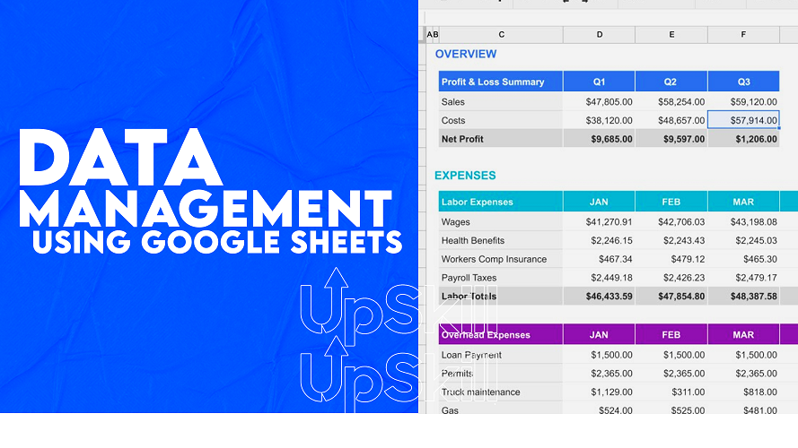 Data Management Using Google Sheets